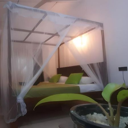 Dickwella Green Villa Ngoại thất bức ảnh