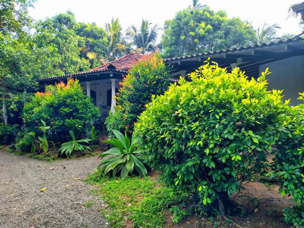 Dickwella Green Villa Ngoại thất bức ảnh